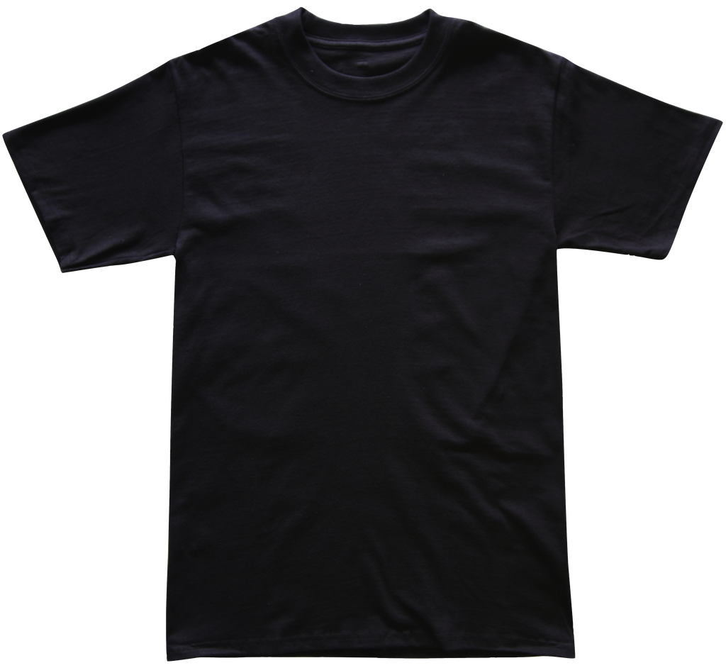 Alstyle 1301 deals